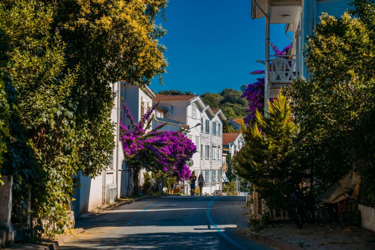 Bozcaada Assos Turu