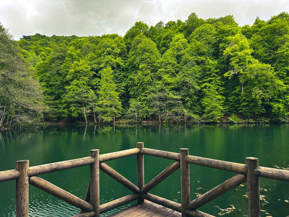 Amasra - Safranbolu - Gölcük - Yedigöller - Bolu Turu